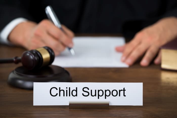 texas child support laws