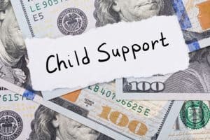 florida child support laws